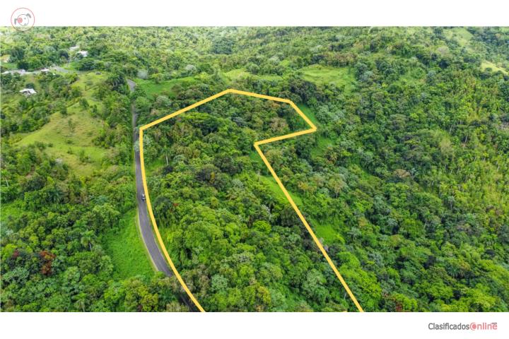 6 Cuerdas en Venta | Bo. Mariana, Naguabo