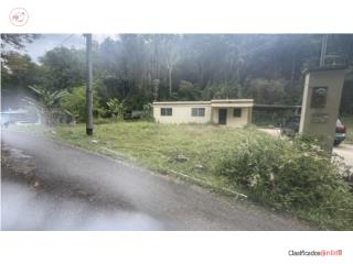Sector Arenalejos, Arecibo PR