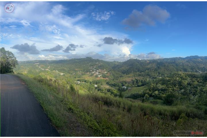 Farm in Mana, Corozal
