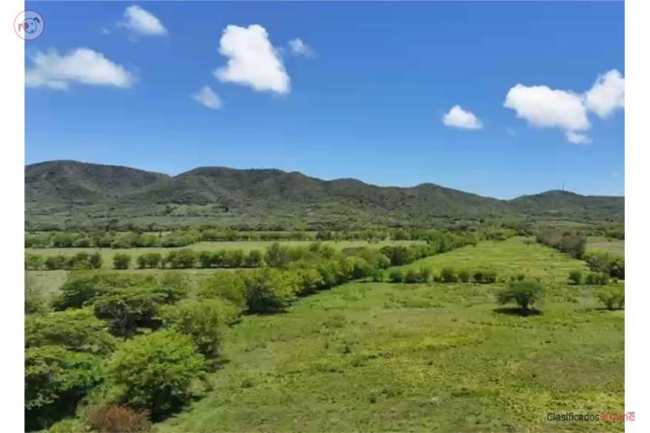 Farm in Llanos Costa, Cabo Rojo