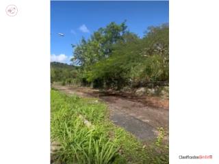 Venta de Solar Barrio Aguacate Yabuco...