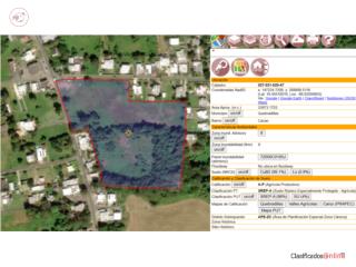 Finca de 9.34 cuerdas (36,709 m²)