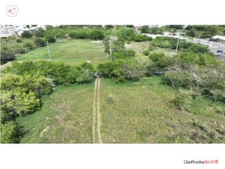 3.66 acres totalmente llanos/RI