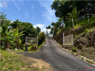 Bo.Pesas PR149 Ciales