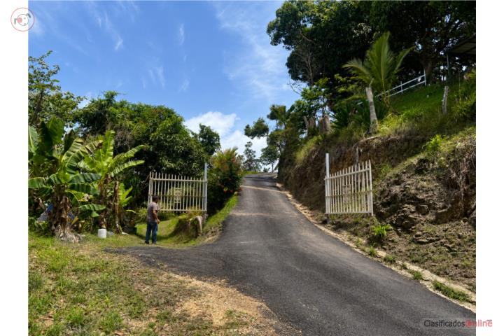 Farm in Pesas, Ciales