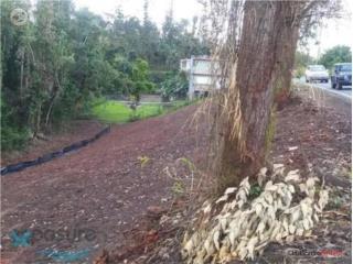 Lotes en El Abanico , Naranjito