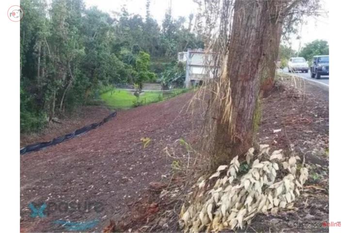 Lot in Cedro Arriba, Naranjito
