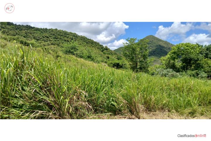 Lot in Cuyon, Aibonito