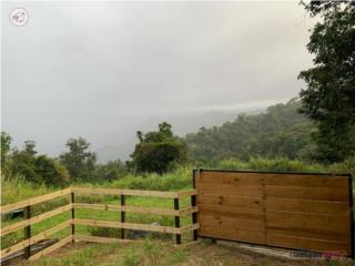 Finca Bo. Pesas Sector "La Línea", Ci...