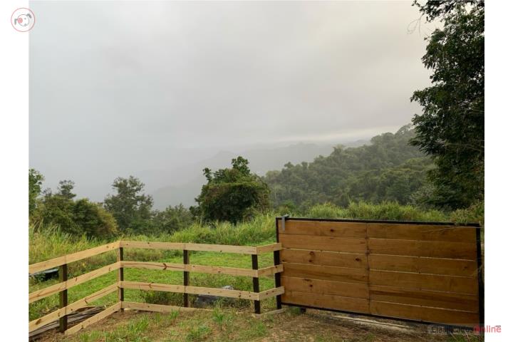 Farm in Pesas, Ciales