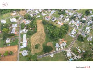 Finca de 3.85 cuerdas (15,167MC)