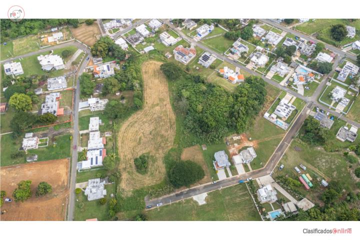 Farm in Hato Arriba, Arecibo