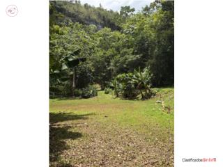 Finca 5 cuerdas Ciales