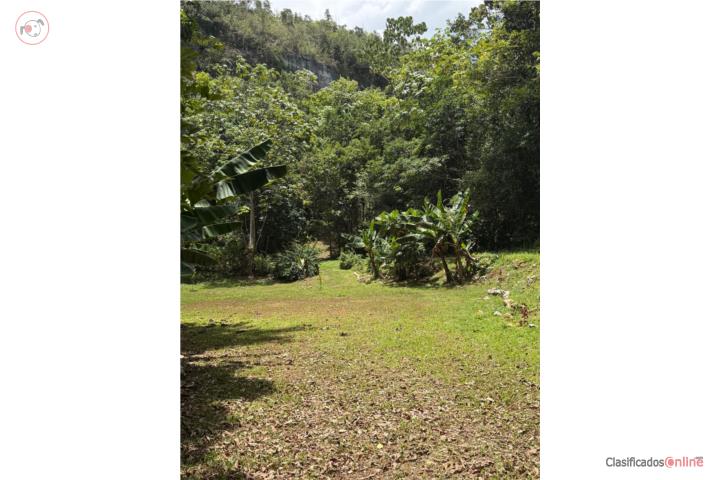Finca 5 cuerdas Ciales