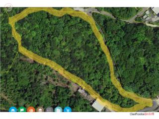 Quebrada Arriba, Cayey