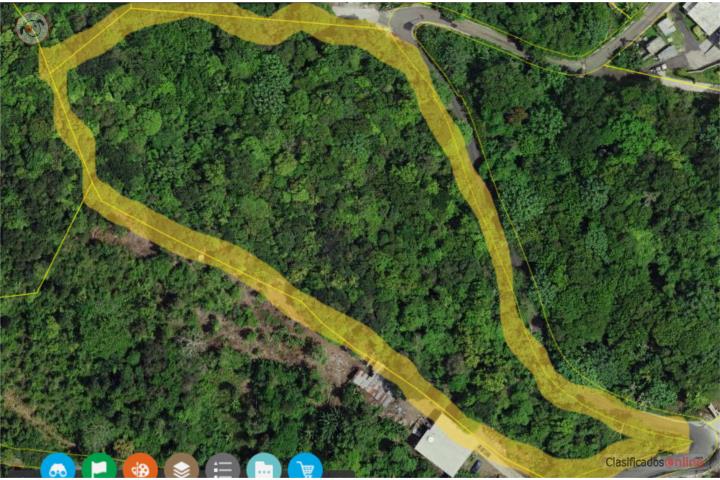 Farm in Quebrada Arriba, Cayey