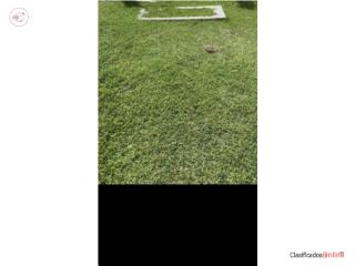 Cementerio Porta Coeli ~ Lote en venta