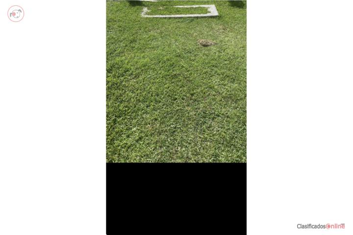 Cementerio Porta Coeli ~ Lote en venta