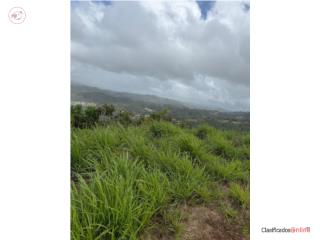 Cayey sector tinto marin