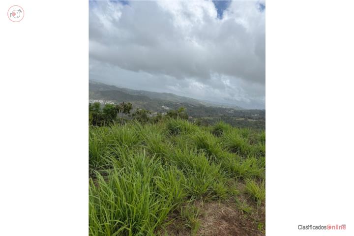 Lot in Las Vegas, Cayey