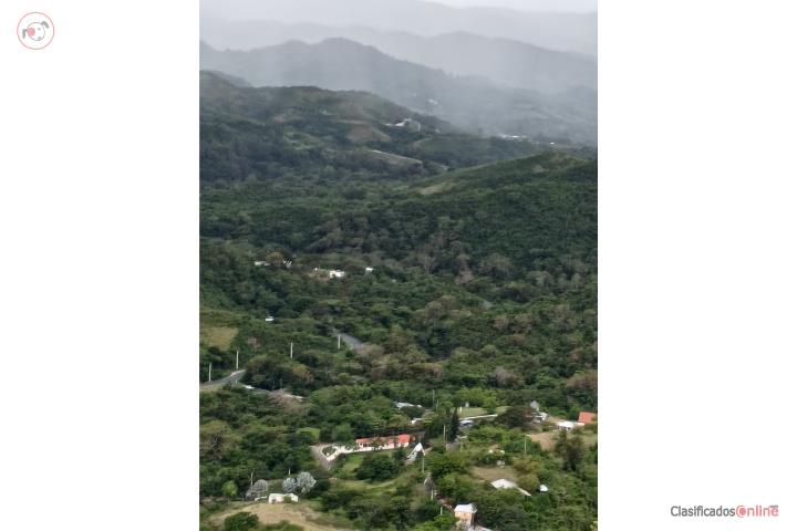 Lot in Agarrobo, Aibonito