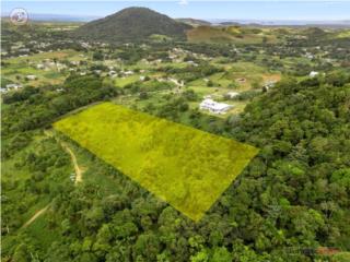 Bo. Mariana, Carretera 9973, Naguabo