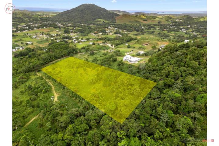 Bo. Mariana, Carretera 9973, Naguabo