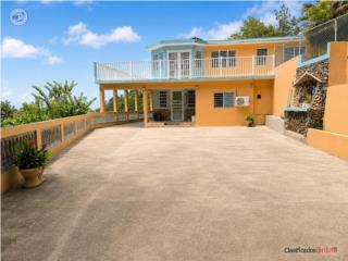 Venta Propiedad Mamey Alto Patillas