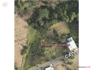 5 Cuerdas en Aguada- near Rincon Beac...