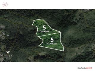 Finca en Peñuelas Bo Rucio