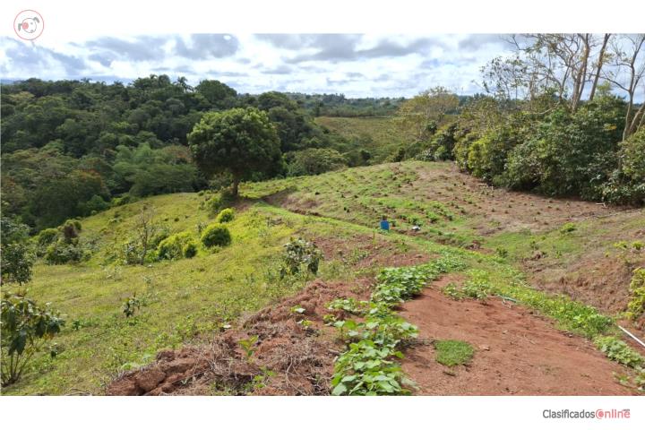Finca  5 cuerda