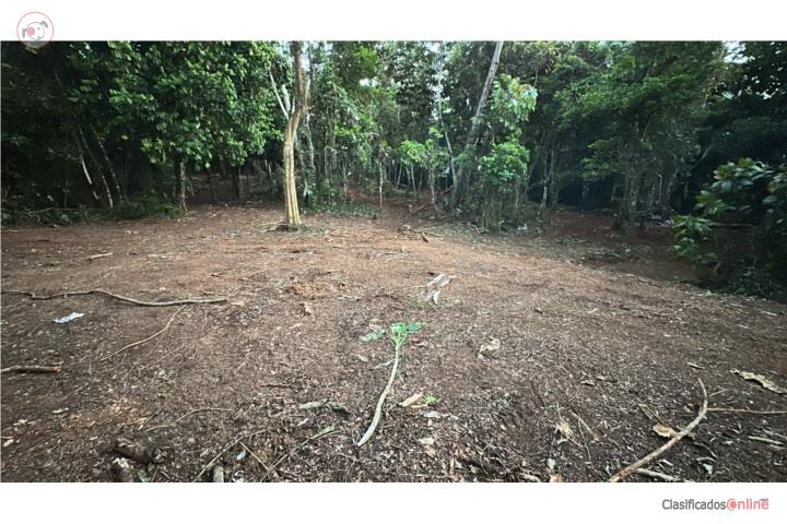 Terreno en Cubuy