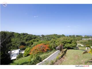 Ocean View! House/Patio/Lots of poten...