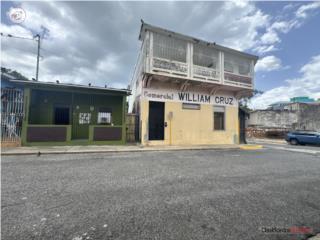 2 Residencias y 2 Locales Comercial