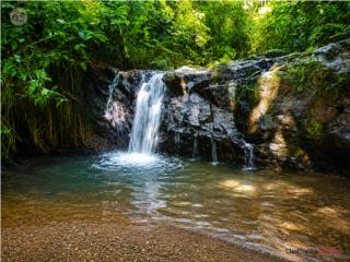 Finca de 200 cuerdas con acceso a Rio...