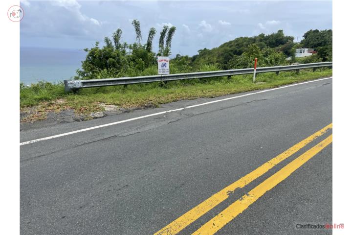 Farm in Camino Nuevo, Yabucoa