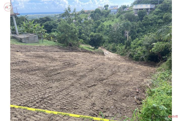 Farm in Buena Vista, Humacao