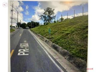 Finca de 56.20 cuerdas Las Piedras