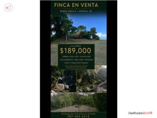 Hermosa finca 4 cds Corozal