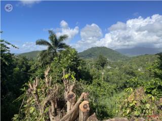 Terreno en Daguao con Vista a las Mon...