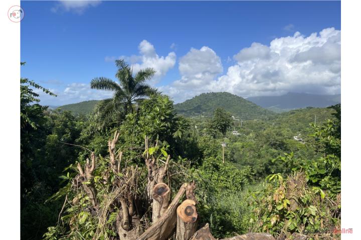 Terreno en Daguao con Vista a las Montañas