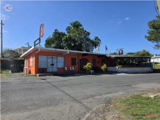 Local Comercial, Ciales 185,000