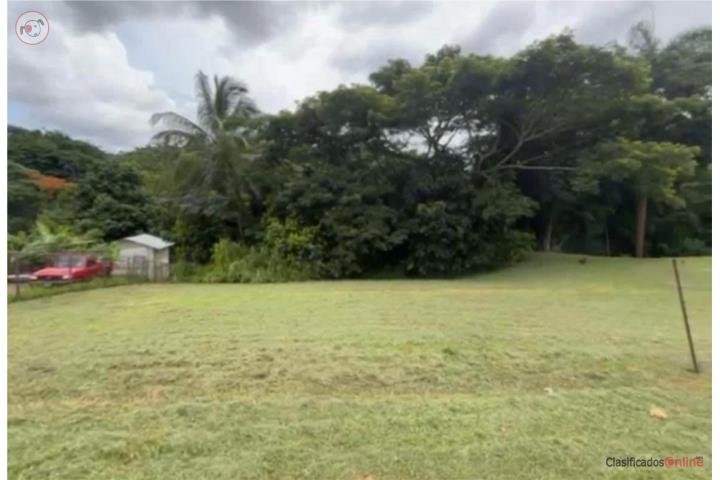 Lot in Quebrada Cruz, Toa Alta