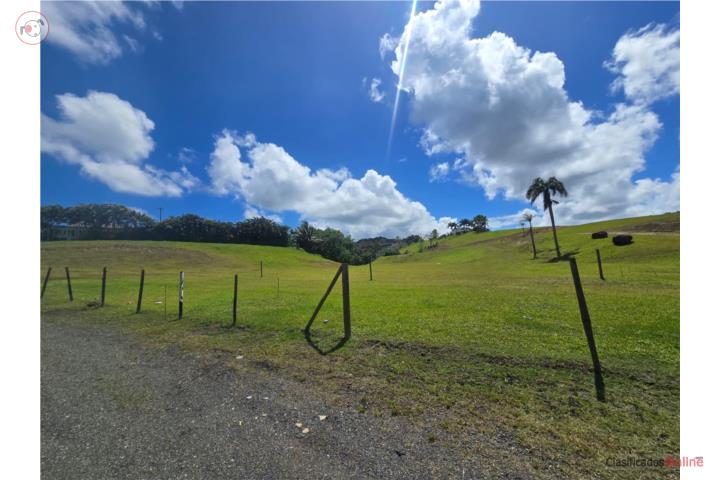 Lot in Cerro Gordo, San Lorenzo