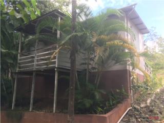 Barrio Rio Cañas Arriba