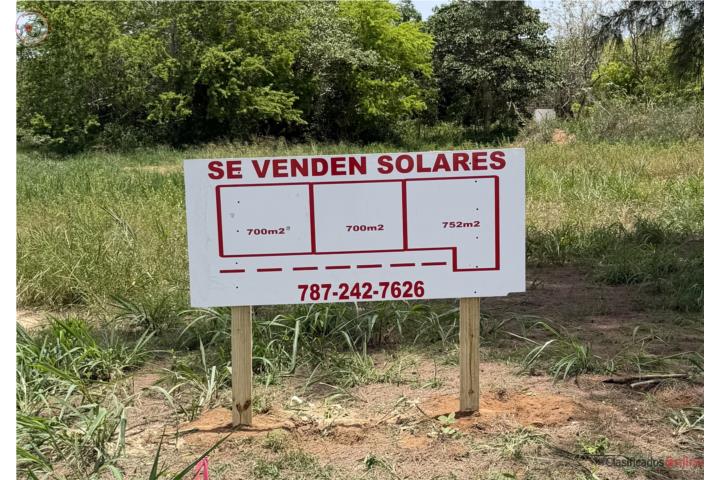 Solares en venta