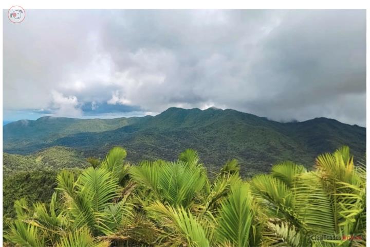 Finca de 25 cuerdas , Campo Rico Canovanas