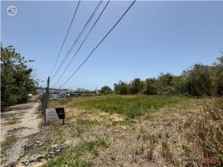 Lote Residencial 1,128 m2, Bo. Santana