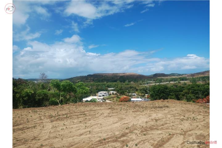 Se vende finca 40 cuerdas aprox