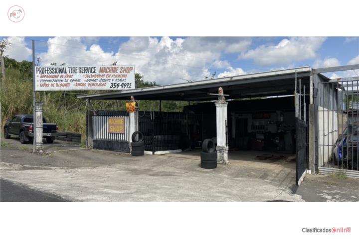 Venta de gomera en Carr 172 en Caguas